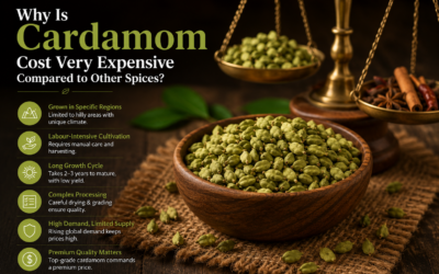 Why Is Cardamom Cost Very Expensive Compared to Other Spices?