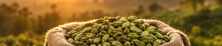 best supplier cardamom in theni